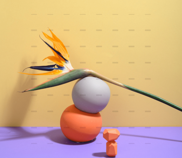 demo-attachment-254-pexels-daria-liudnaya-7354472-min