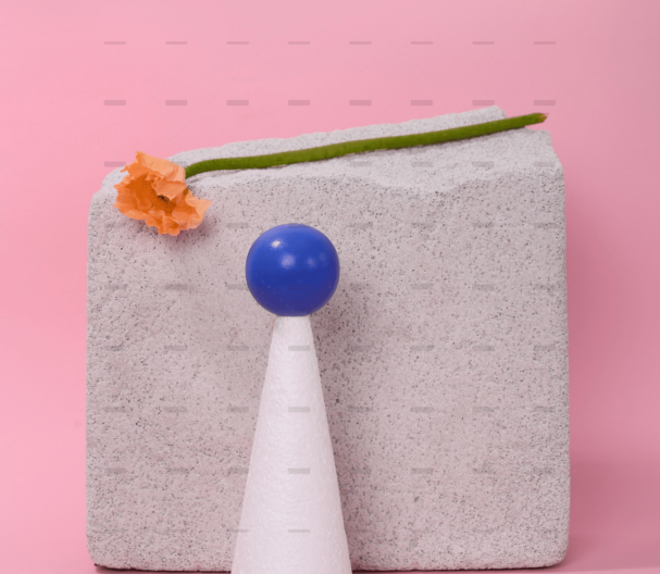 demo-attachment-1651-pexels-daria-liudnaya-7354801